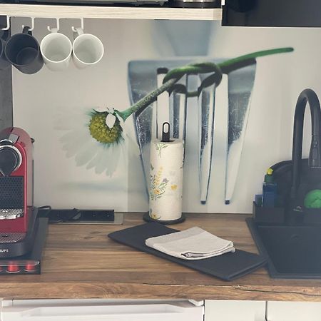 1 Zimmer Appartement In Bad Rothenfelde Kültér fotó